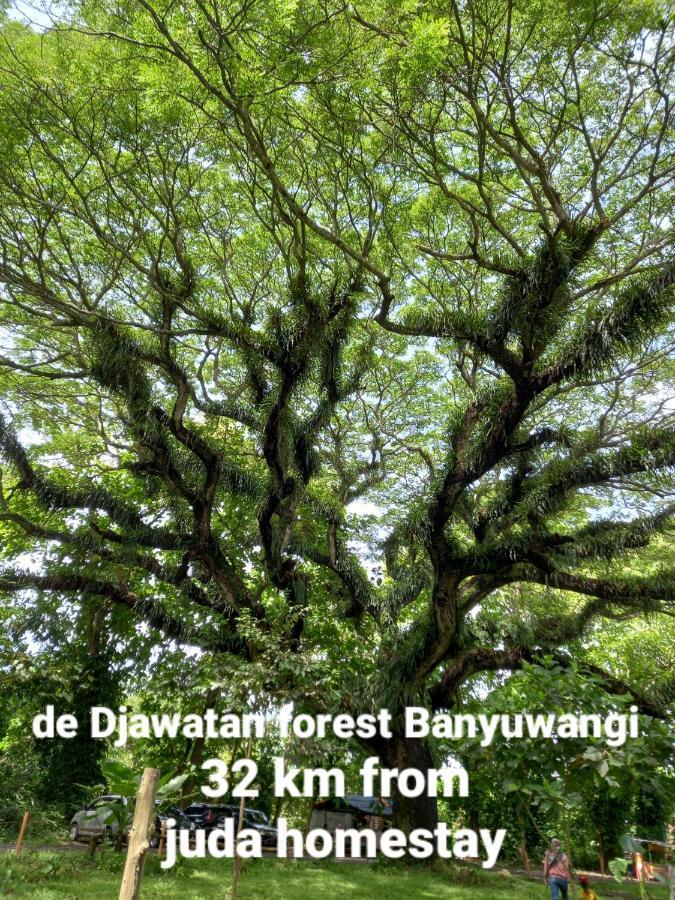 Juda Homestay Banyuwangi  Dış mekan fotoğraf