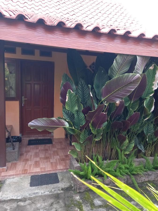Juda Homestay Banyuwangi  Dış mekan fotoğraf