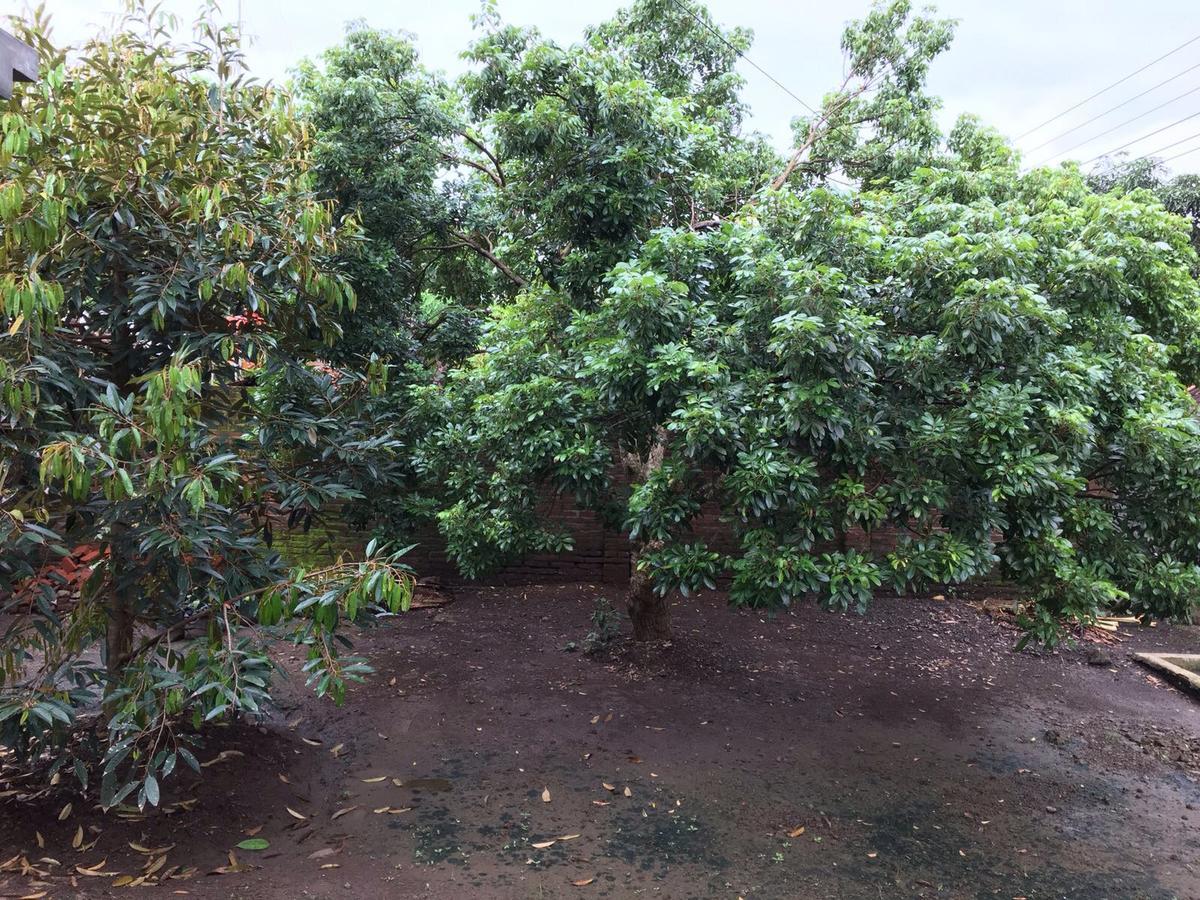 Juda Homestay Banyuwangi  Dış mekan fotoğraf