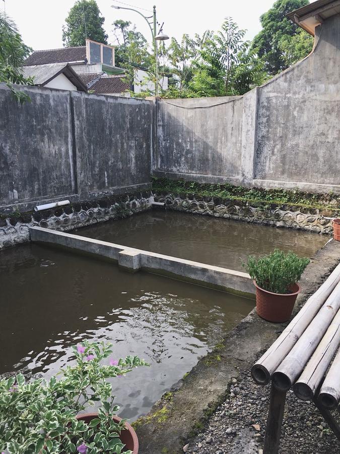 Juda Homestay Banyuwangi  Dış mekan fotoğraf